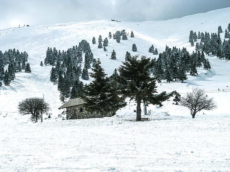 Πίστα στο χιονοδρομικό κέντρο Καλαβρύτων