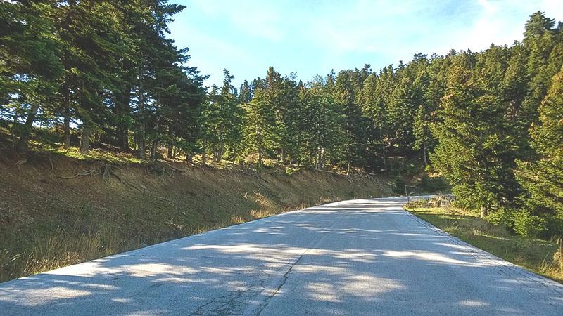 Καθοδόν προς το όρος Ζήρεια